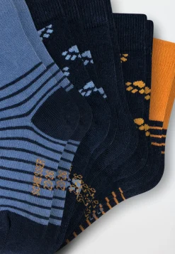 Jungensocken 5er-Pack Waschbär mehrfarbig - Legwear Kids