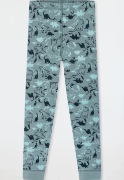 Unterhose lang 2er-Pack Organic Cotton Dinos blau/ grün - 95/5